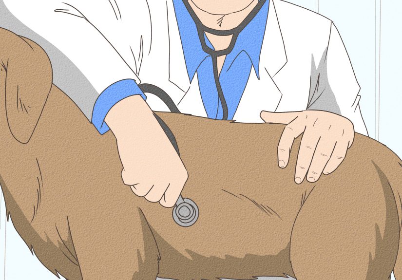 3 Ways to Care for Dogs with Distemper