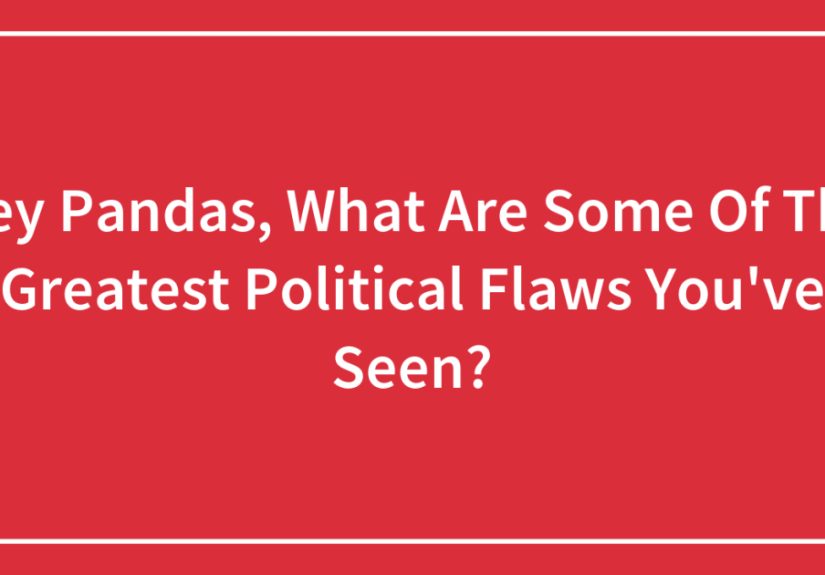 Hey Pandas, What Are Some Of The Greatest Political Flaws You’ve Seen?