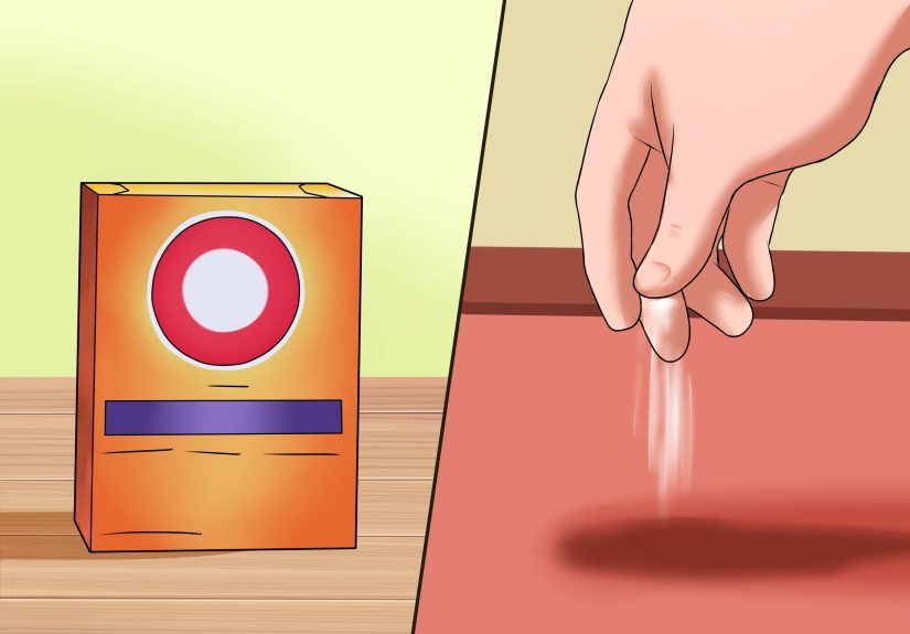 How to Clean Up Dog Diarrhea: 10 Steps