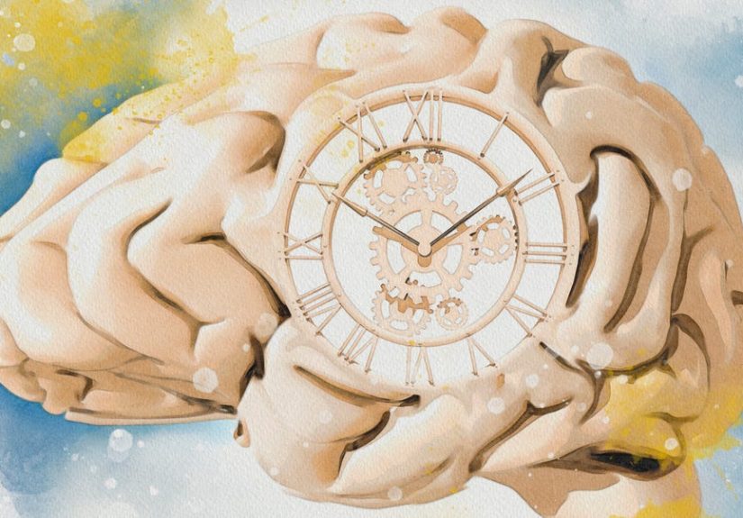 Scientists Found a Hidden Memory Switch in Your Brain