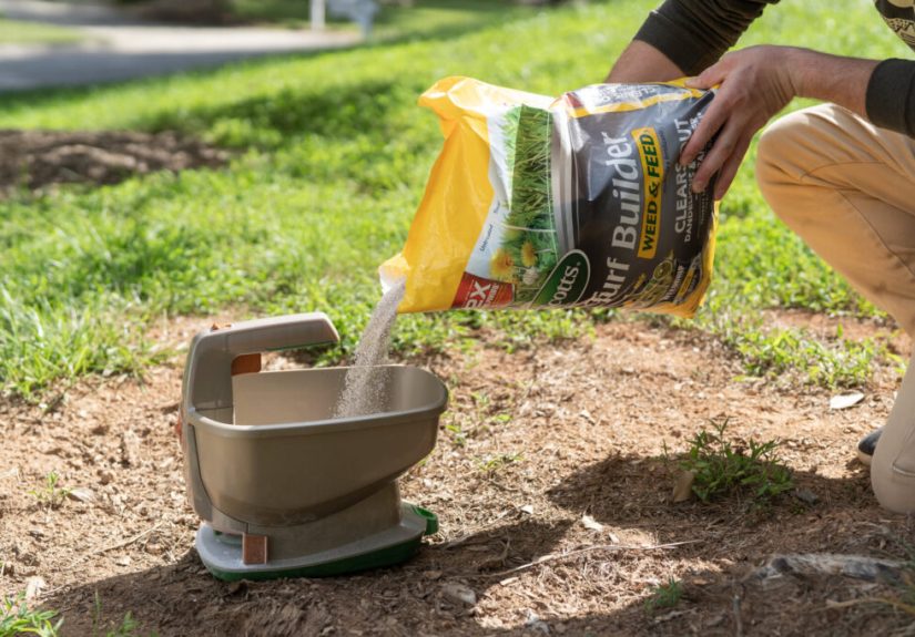 The 5 Best Fertilizers (2025 Review)