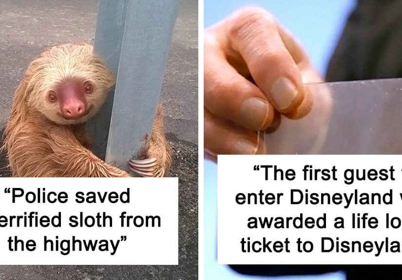 This Instagram Account Collects Mind-Boggling Facts About Our World And Here Are 50 Of The Wildest Ones
