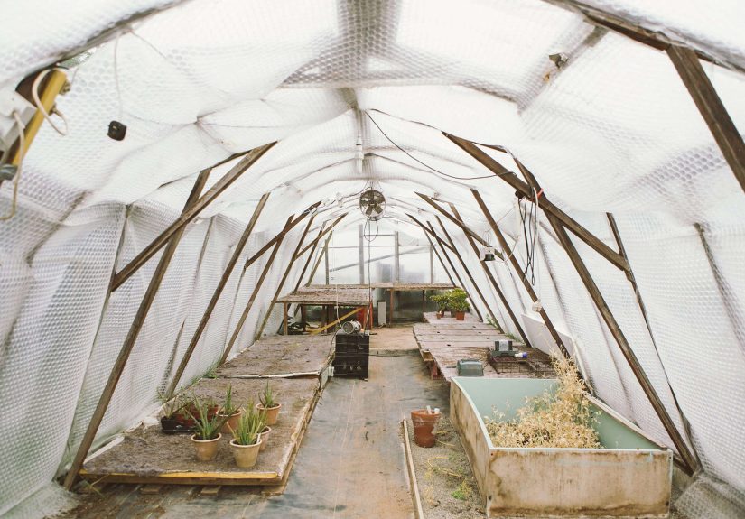 Trending on Gardenista: Hunkering Down