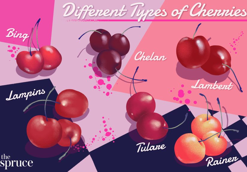 Types of Sweet Cherries, From Bing to Tulare