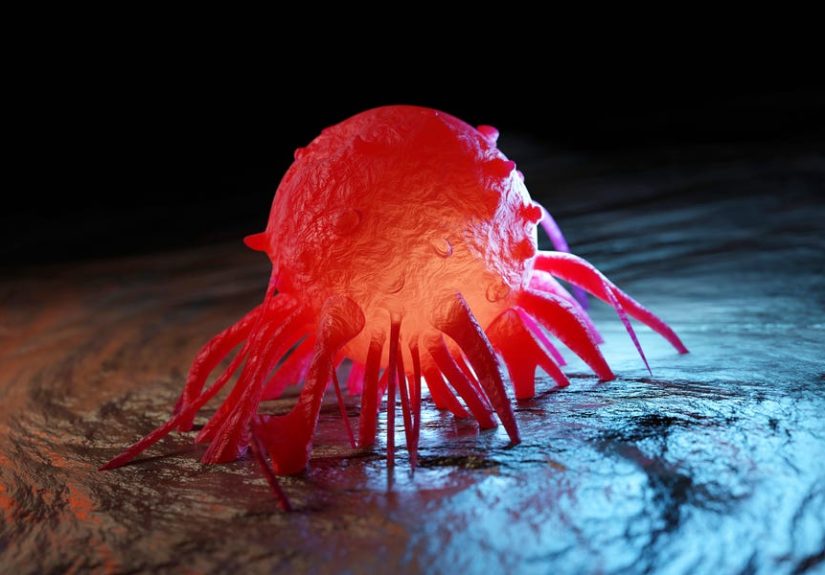Unimaginable Virus Named Gorgon Found Buried Under Massachusetts