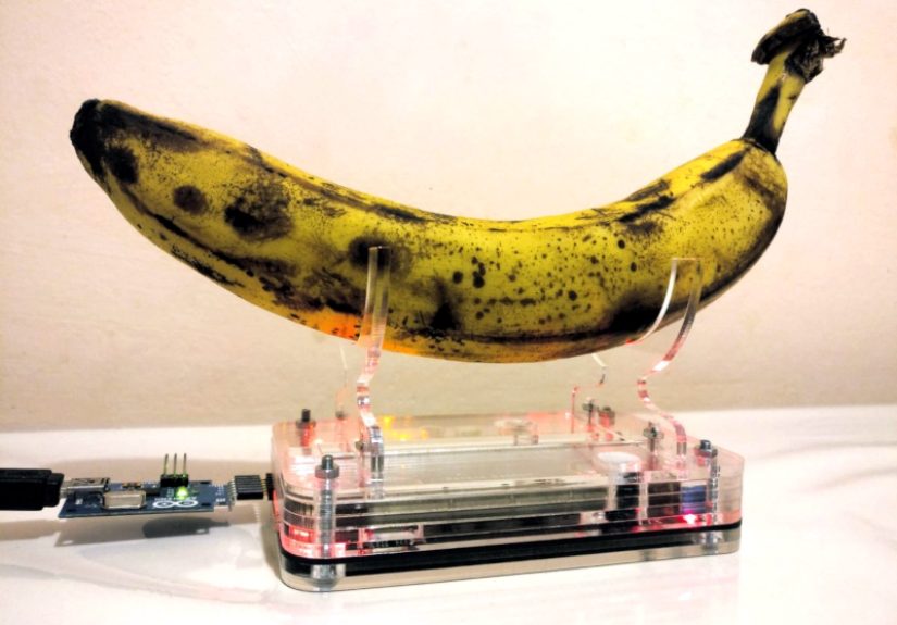 Yes We Have Random Bananas