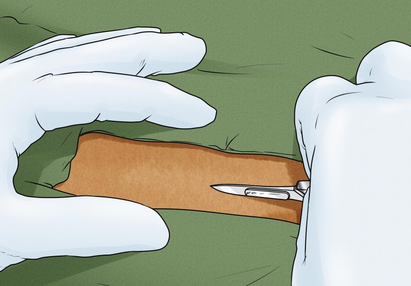 3 Ways to Know When a Dog Is Done Giving Birth