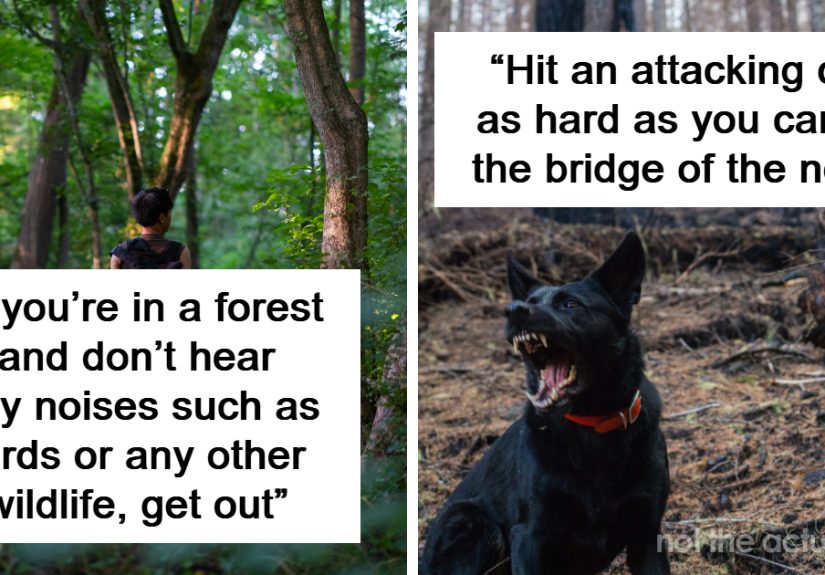 30 Seemingly Trivial Bits Of Info That Could Save Your Or Someone Else’s Life One Day