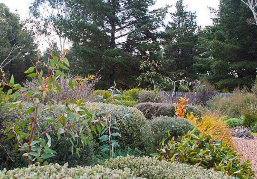 Georgina Reid & Friends: Fixing the World, One Garden at a Time