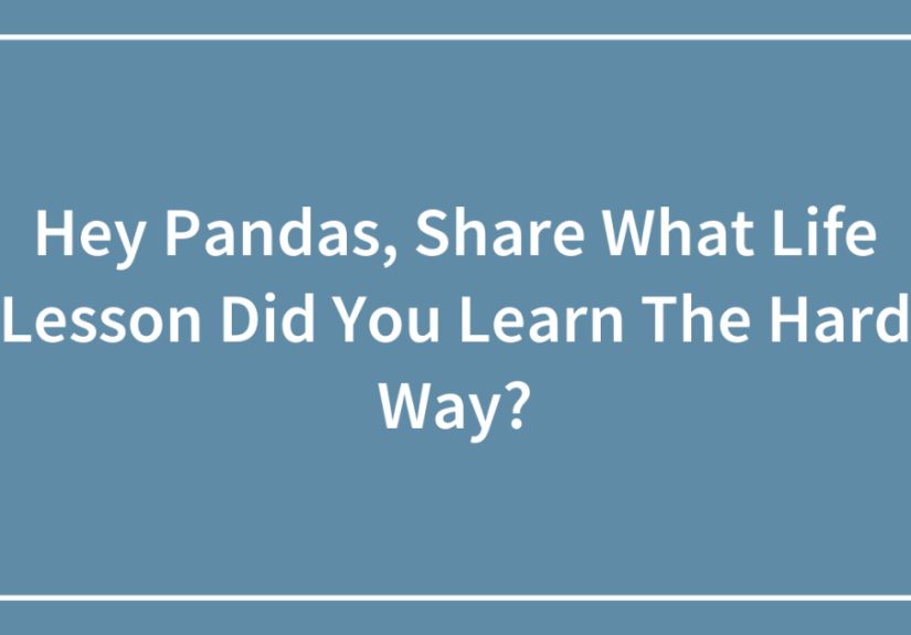 Hey Pandas, Share What Life Lesson Did You Learn The Hard Way?
