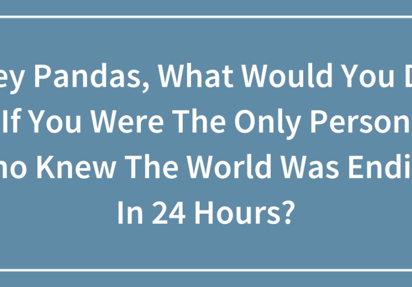 Hey Pandas, What Would You Do If You Were The Only Person Who Knew The World Was Ending In 24 Hours?