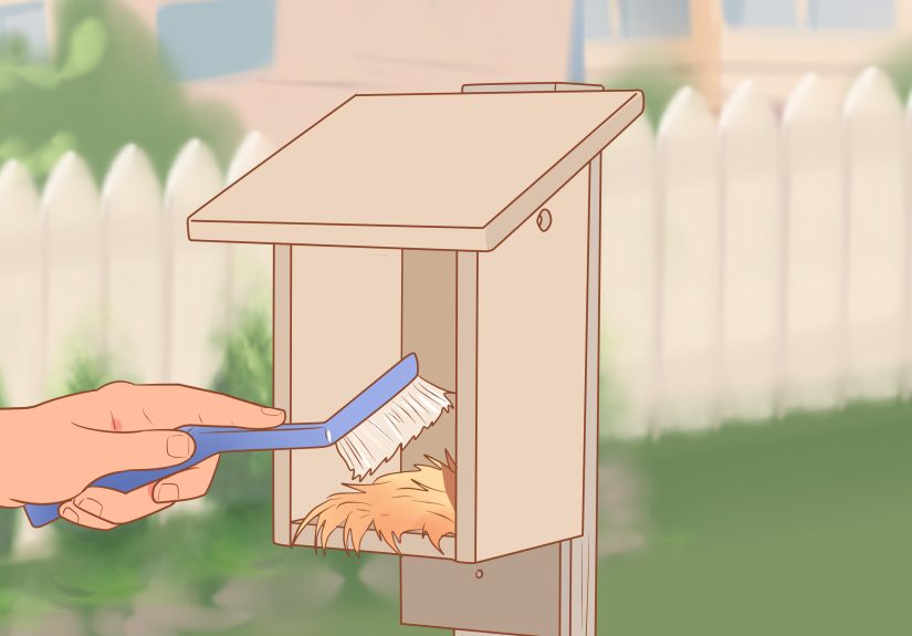 How to Build a Bluebird House