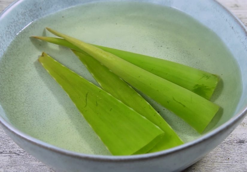 How to Cook Aloe Vera: 11 Steps