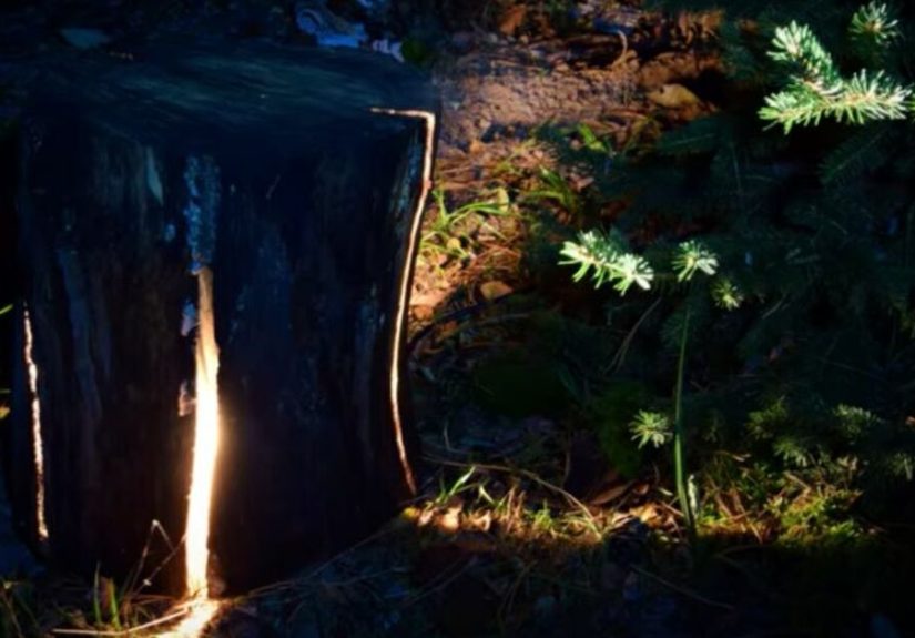 How to Make an Amazing Garden Lamp With Your Chainsaw DIY