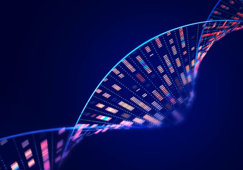 New Study Shows Blocking DNA Transposons Can Increase Lifespan