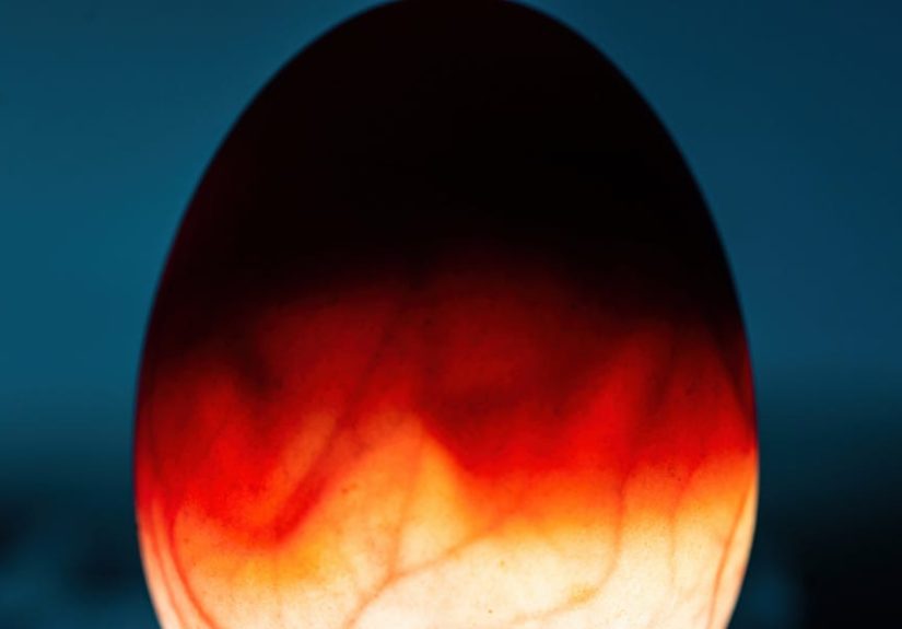 Scientists Think They’ve Found Life’s Original Catalyst