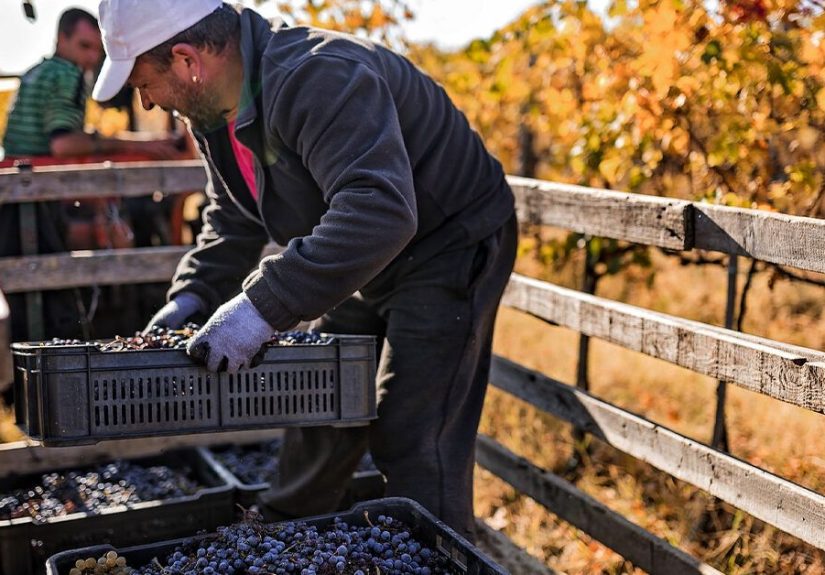 The Dirty Dozen: 12 Foods That Are High in Pesticides
