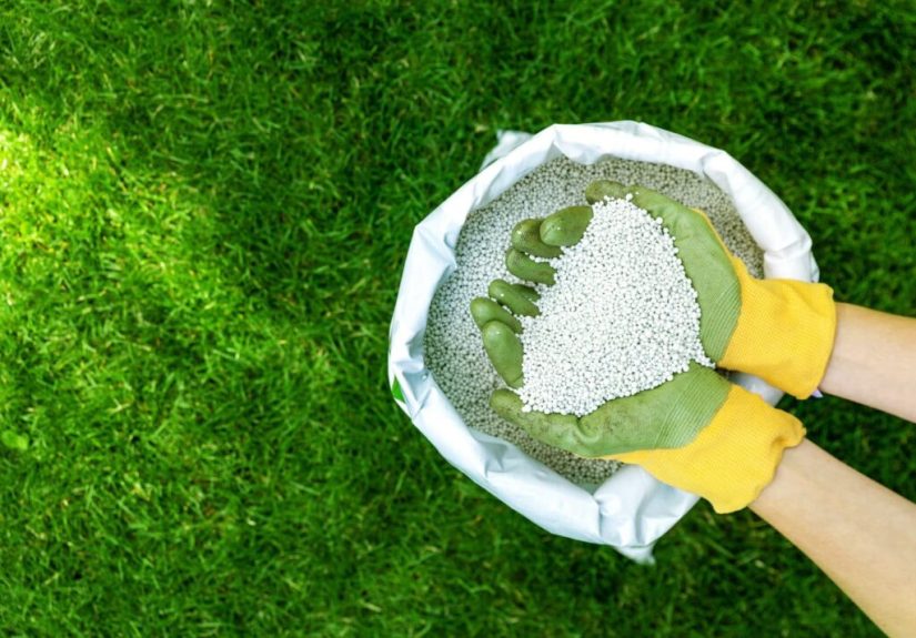 When Should You Fertilize Your Lawn?