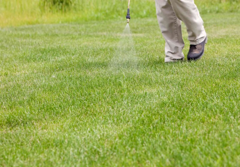When to Apply Crabgrass Preventers in Spring