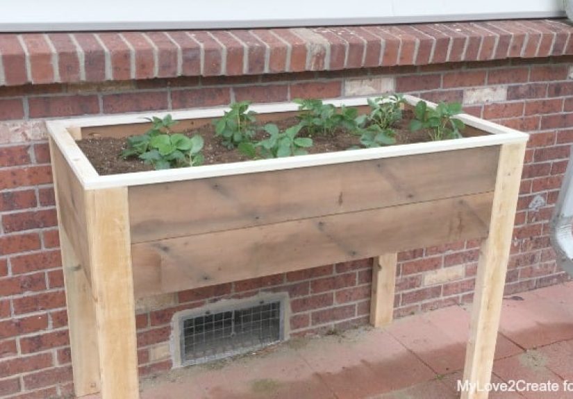 Build an Elevated Planter Box (and save your back!)
