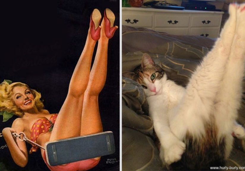 Cats That Pose Like Pin Up Girls (18 pics)