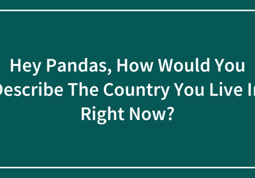 Hey Pandas, How Would You Describe The Country You Live In Right Now?