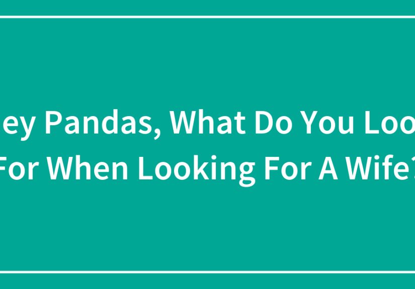 Hey Pandas, What Do You Look For When Looking For A Wife?