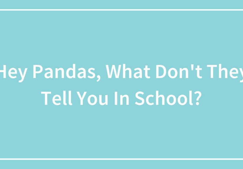 Hey Pandas, What Don’t They Tell You In School?
