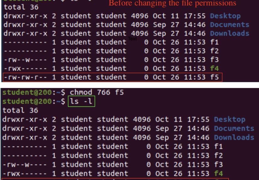 How to Change File Permissions in Linux from the Terminal: 7 Steps