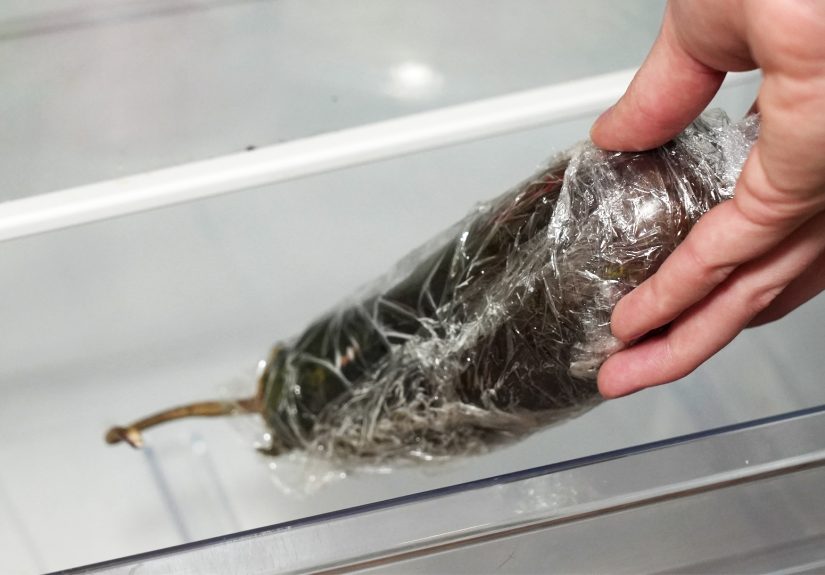 How to Tell if Eggplant Is Bad: Signs & Storage Tips