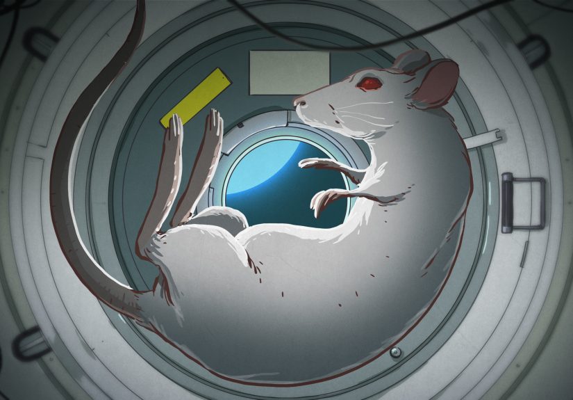 ISS Artificial Gravity Study Shows Promise For Long Duration Spaceflight