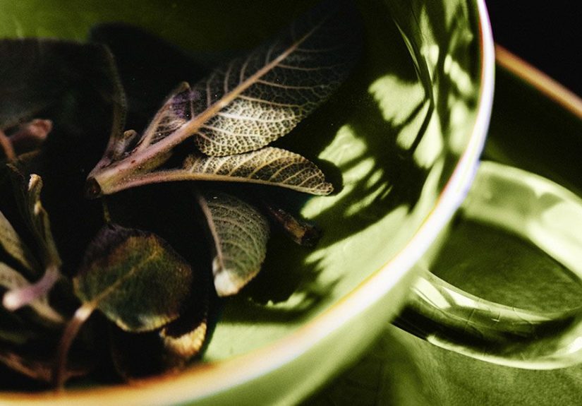 Sage for Menopause: Evidence, Effectiveness, and Recipes