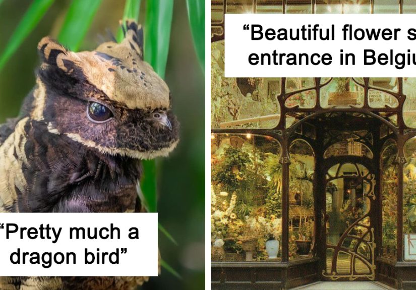 This Online Group Has People Posting “All Things That Seem Straight Out Of A Fairytale”, And Here Are 40 Of Their Most Bewitching Pics