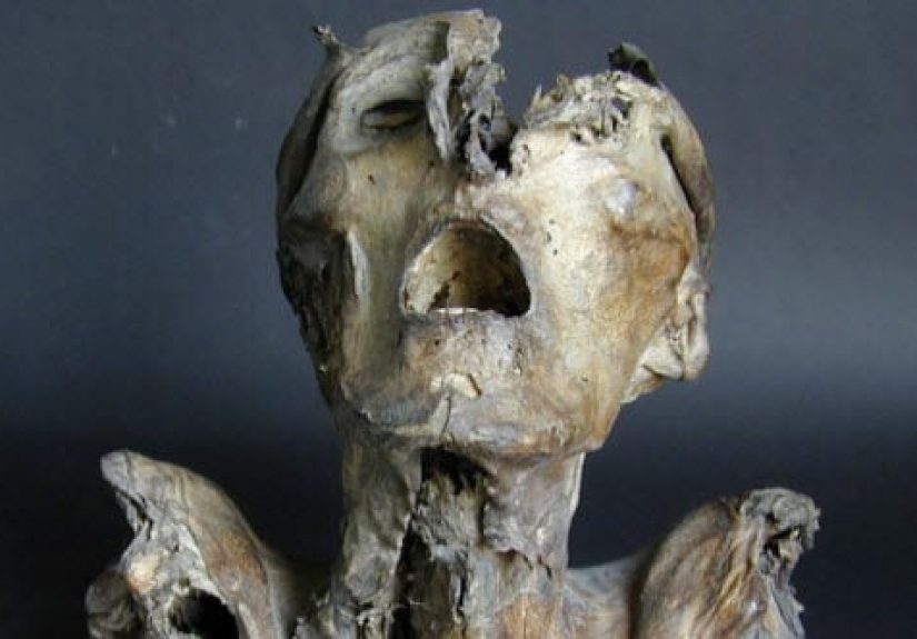 Top 10 Curious And Creepy Mummified Remains