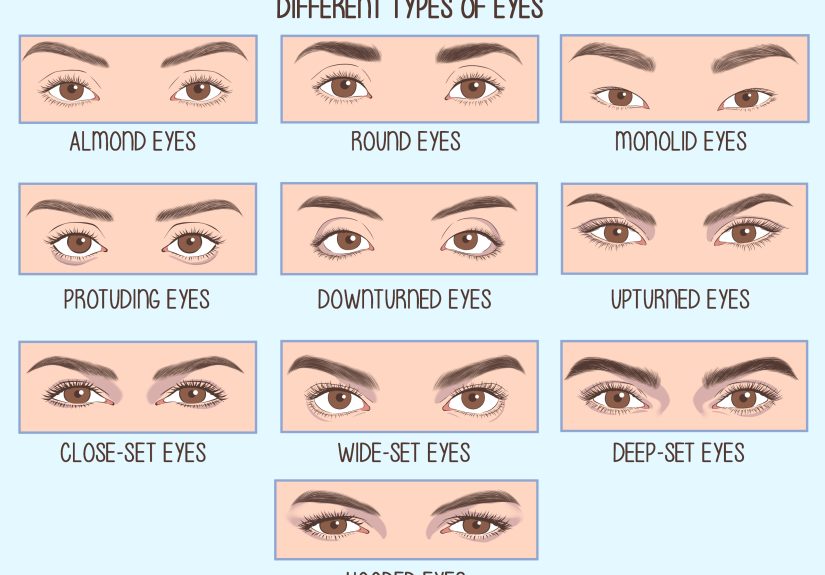 10 Different Types of Eyes & Their Most Common Features