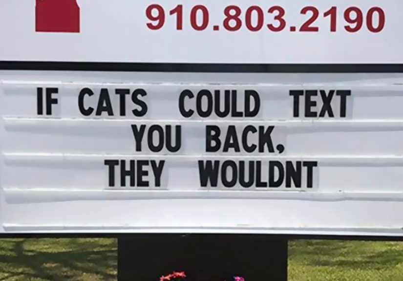 50 Genius Vet Signs That Will Make You Laugh
