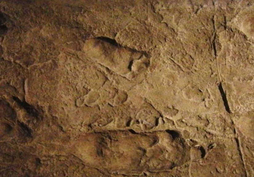 9 Fascinating Discoveries that Changed Our Understanding of Human Evolution