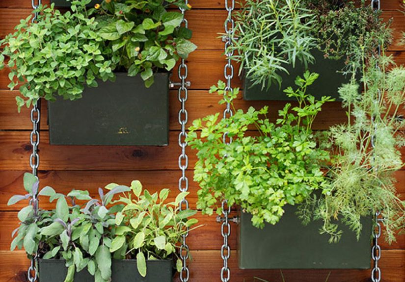 Add Vertical Gardening to Your Yard for Space-Saving Greenery