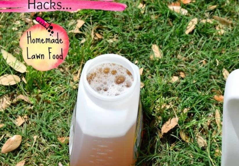 Cheap & Safe Homemade Lawn Food