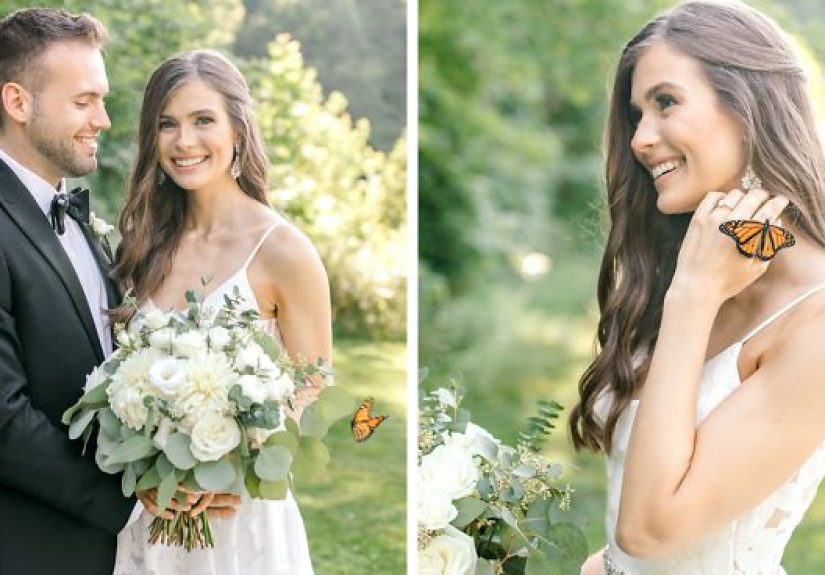 Couple’s Wedding Photoshoot Gets A Fairytale-Like Twist After A Monarch Butterfly Joins In