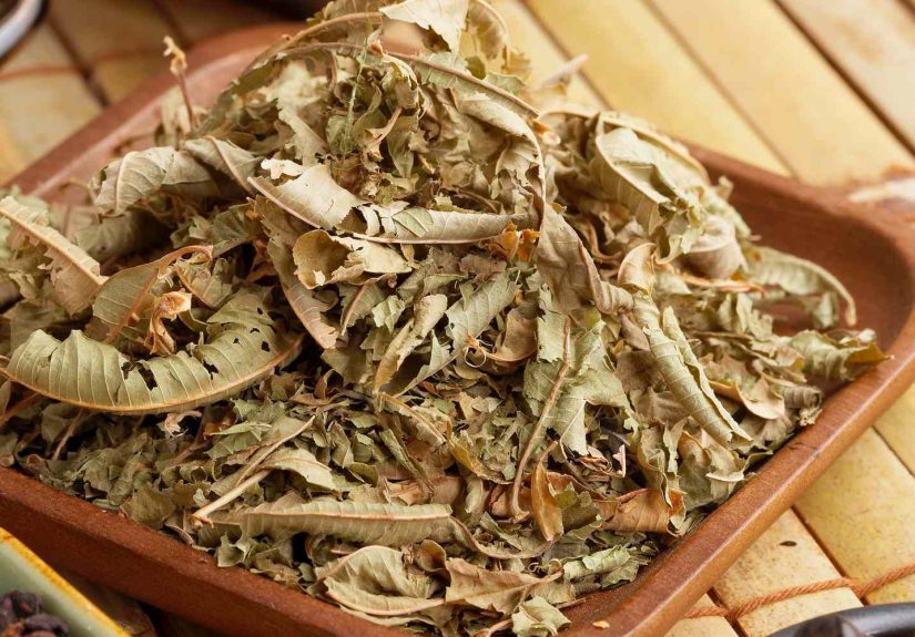 Greek Lemon Verbena Herbal Tea (Luiza)