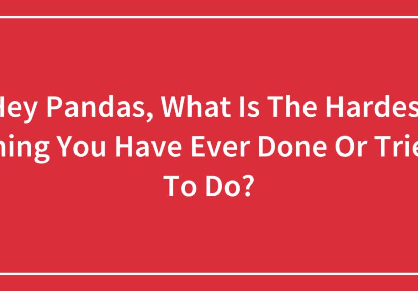 Hey Pandas, What Is The Hardest Thing You Have Ever Done Or Tried To Do?