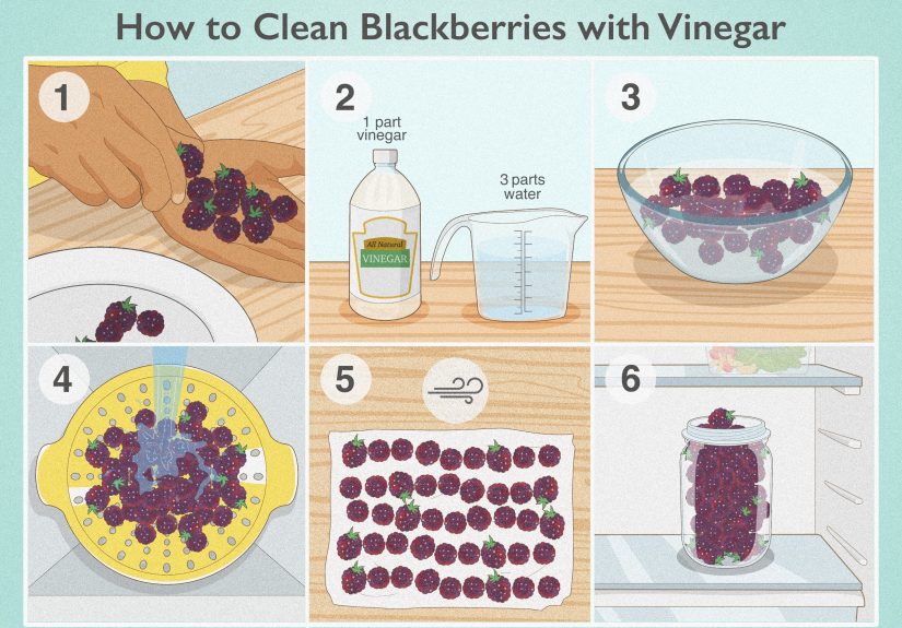 How to Clean Blackberries with Vinegar for Longer Storage
