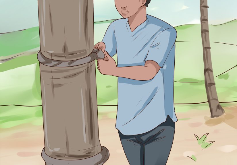 How to Climb a Coconut Tree: 15 Steps
