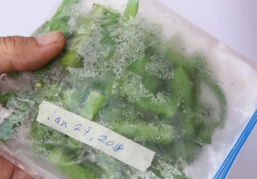 How to Freeze Runner Beans: 13 Steps