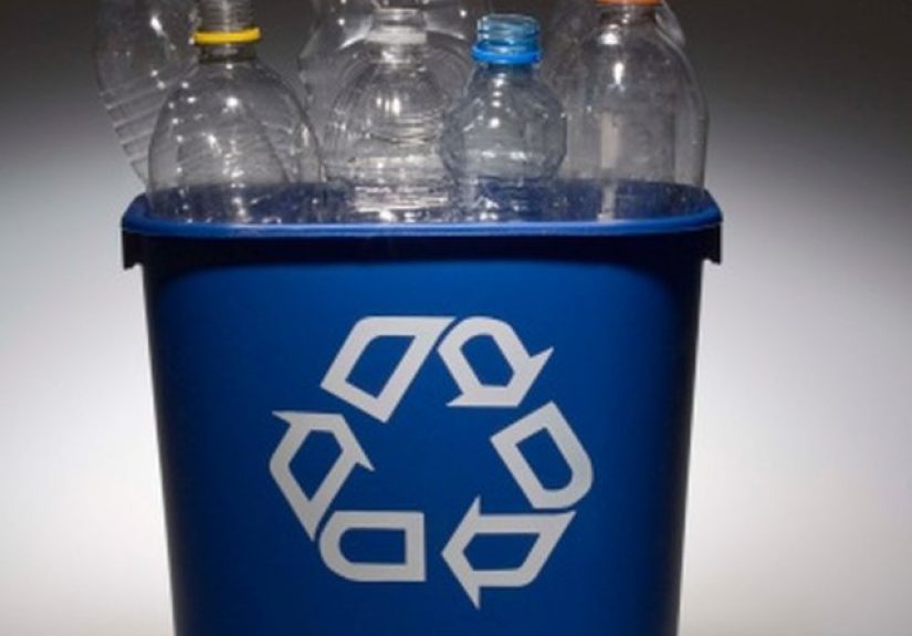How to Make a Dinosaur Out of Recyclables