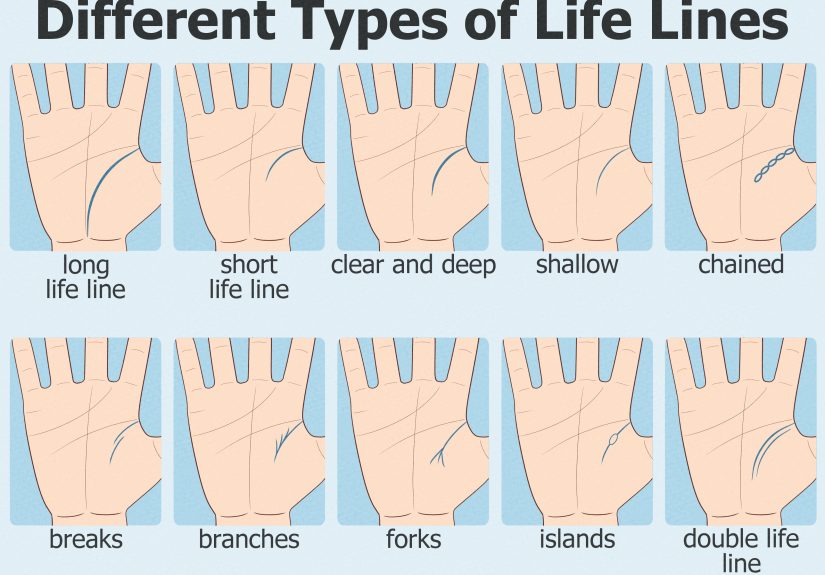 How to Read a Short Life Line in a Palm Reading