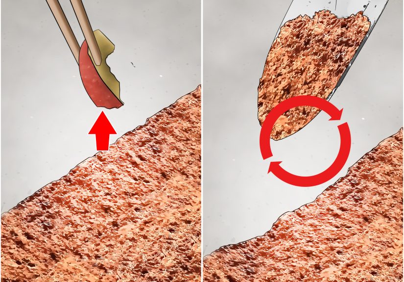 How to Set Up a Hissing Cockroach House: 9 Steps