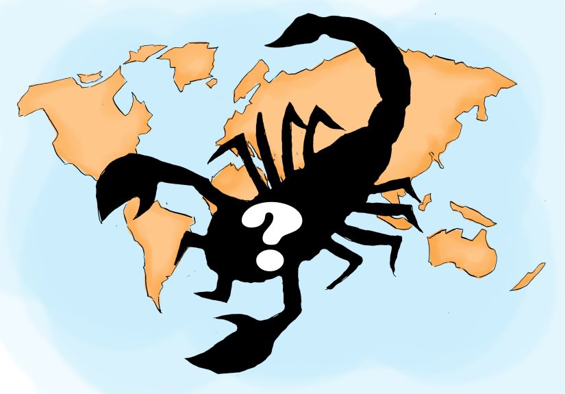 How to Treat a Scorpion Sting