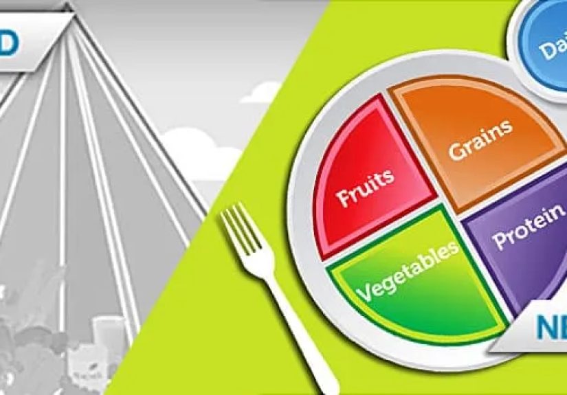 Nutrition Quiz: Dietary Guidelines, Proteins, Fats, Grains, and More